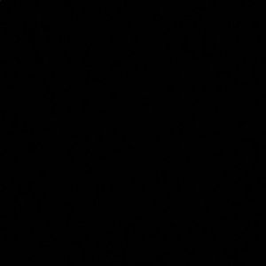 Meet your Posher, Whitney